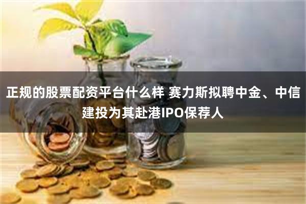 正规的股票配资平台什么样 赛力斯拟聘中金、中信建投为其赴港IPO保荐人