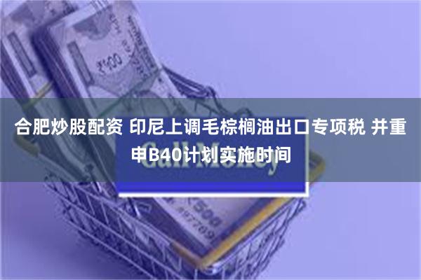 合肥炒股配资 印尼上调毛棕榈油出口专项税 并重申B40计划实施时间