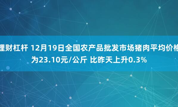 理财杠杆 12月19日全国农产品批发市场猪肉平均价格为23.10元/公斤 比昨天上升0.3%