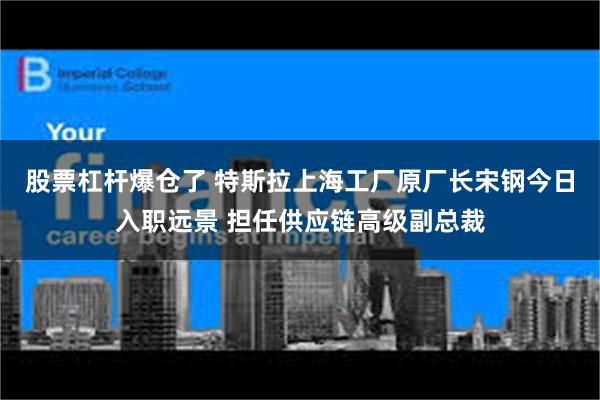 股票杠杆爆仓了 特斯拉上海工厂原厂长宋钢今日入职远景 担任供应链高级副总裁