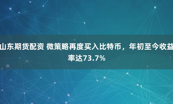 山东期货配资 微策略再度买入比特币，年初至今收益率达73.7%