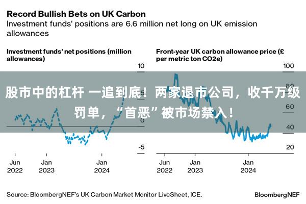 股市中的杠杆 一追到底！两家退市公司，收千万级罚单，“首恶”被市场禁入！