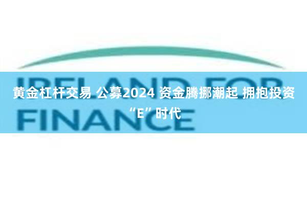 黄金杠杆交易 公募2024 资金腾挪潮起 拥抱投资“E”时代