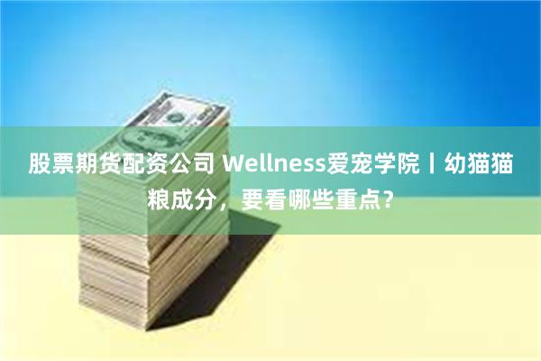 股票期货配资公司 Wellness爱宠学院丨幼猫猫粮成分，要看哪些重点？