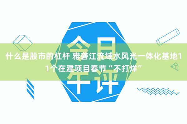 什么是股市的杠杆 雅砻江流域水风光一体化基地11个在建项目春节“不打烊”