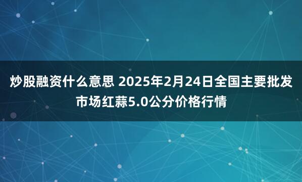 炒股融资什么意思 2025年2月24日全国主要批发市场红蒜5.0公分价格行情